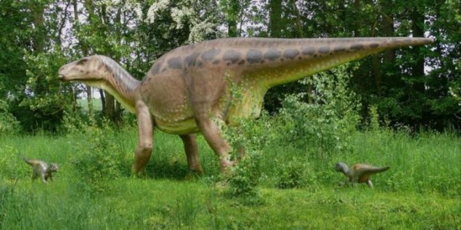 أثار أقدام ديناصورات في الصين